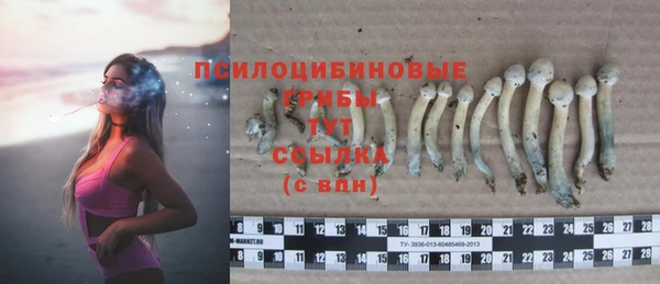 прущие крисы Заволжск