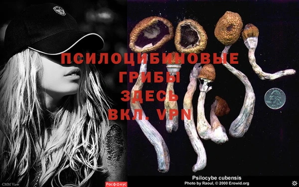 индика Заволжье