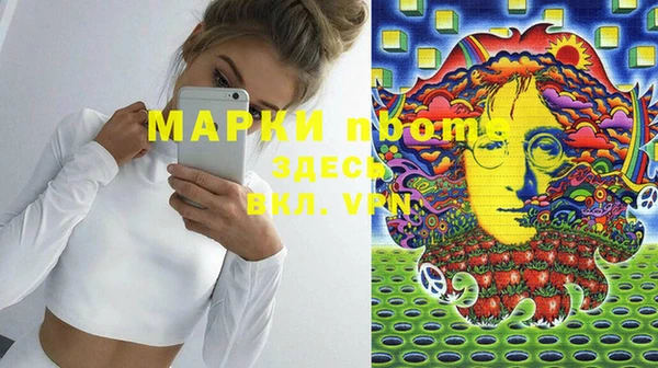 индика Заволжье