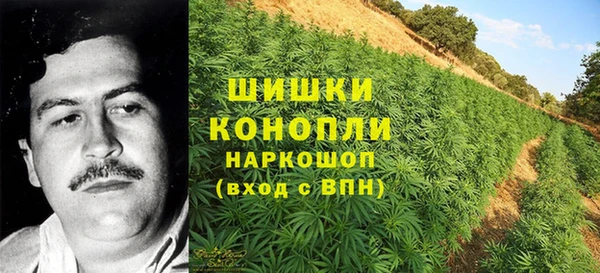 индика Заволжье