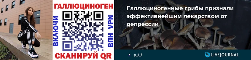что такое   Кашира  Псилоцибиновые грибы ЛСД 