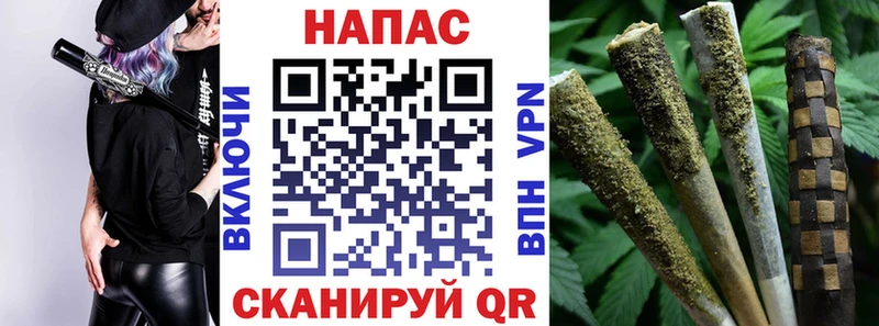 Марихуана план  Кашира 
